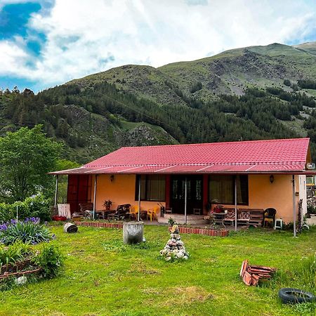 Januka Garden At Sno Villa Kazbegi Eksteriør billede
