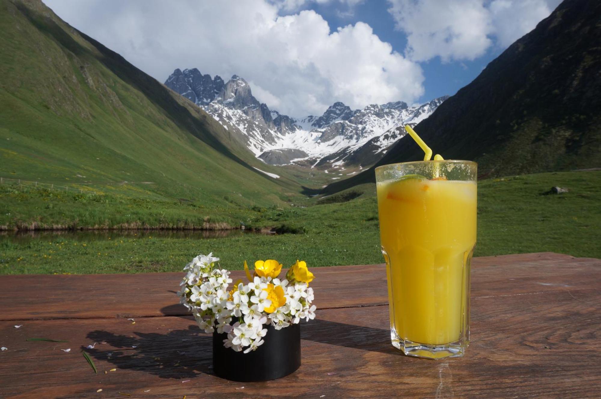 Januka Garden At Sno Villa Kazbegi Eksteriør billede