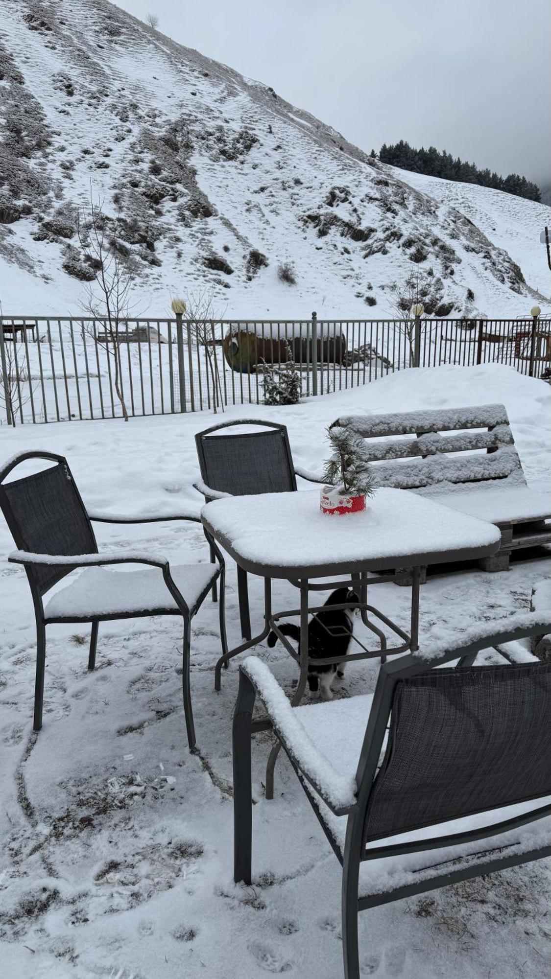 Januka Garden At Sno Villa Kazbegi Eksteriør billede