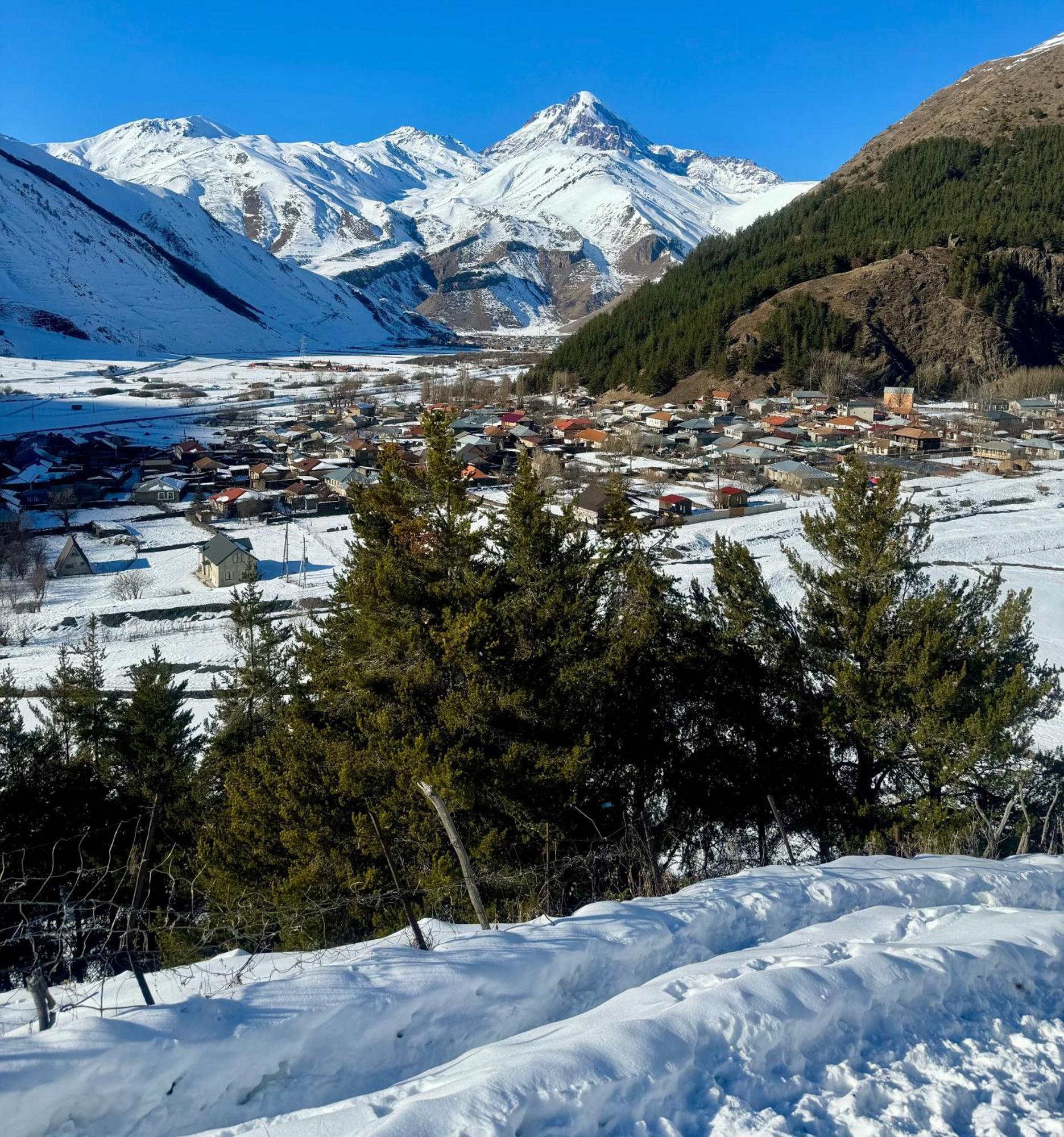 Januka Garden At Sno Villa Kazbegi Eksteriør billede
